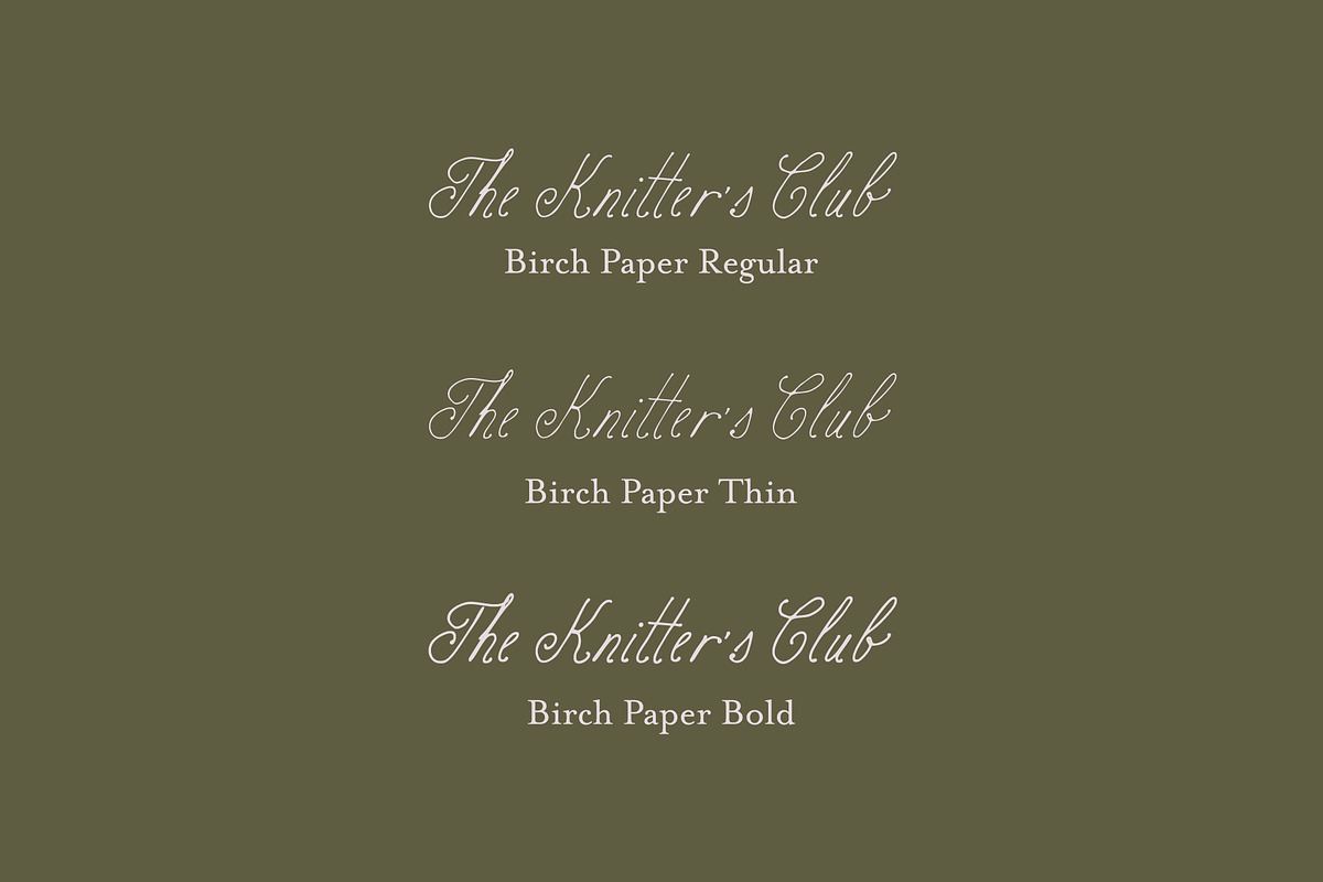 Birch Paper // Handwritten Font, a Script Font by PeachCreme (Photo 12 of 14)