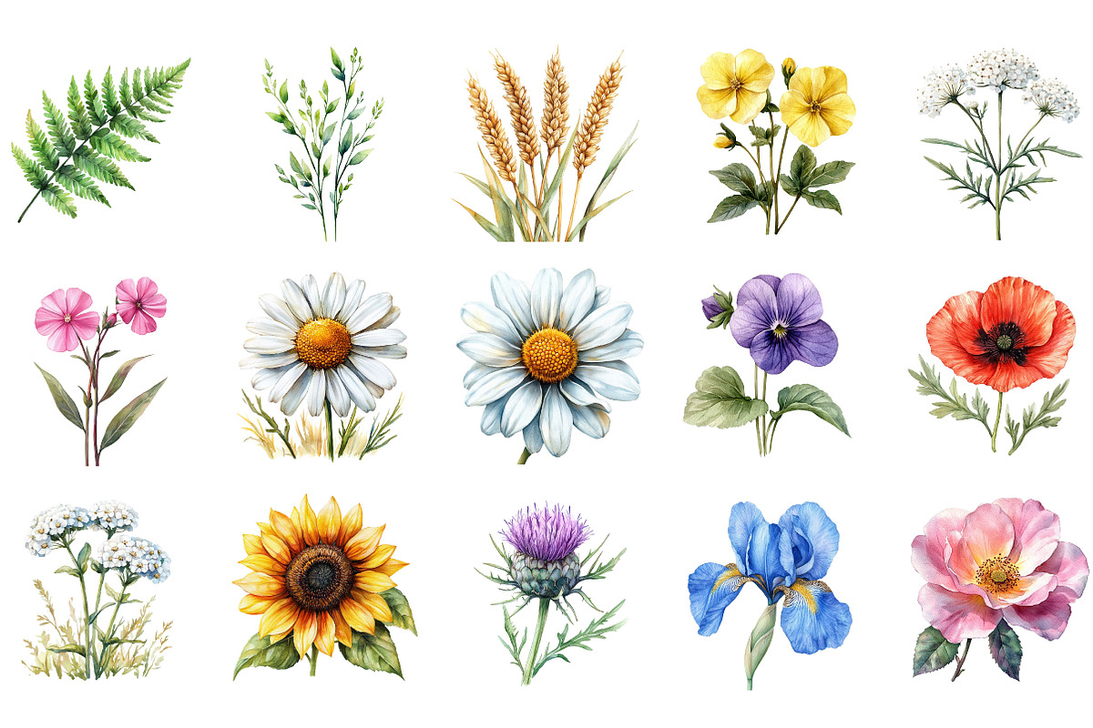 Wildflower Meadow Clipart, an Illustration by Designking (Photo 2 of 5)