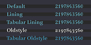 Legit Didone, a Serif Font by Finaltype (Thumbnail 4 of 13)