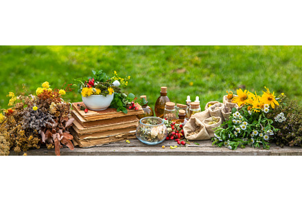 Medicinal herbs alternative medicine