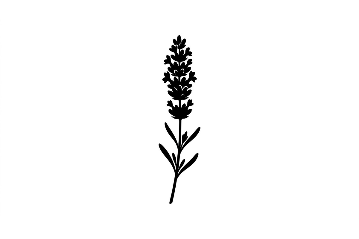 Lavender Botanical Silhouette Set, an Object Graphic by Designs_River (Photo 3 of 3)