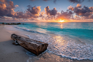 Driftwood on Tropical Beach Sunrise, a Photo by Pixeness Studio