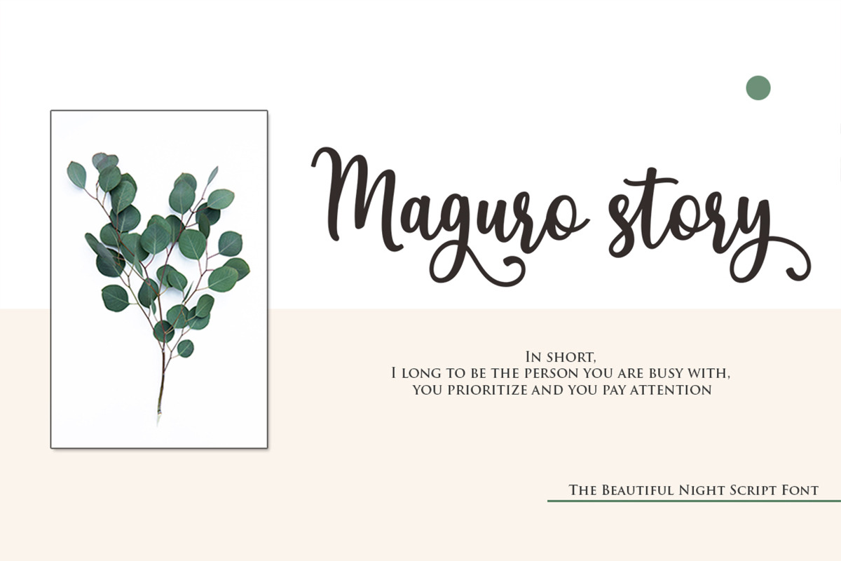 The Beautiful Night Script & Extras, a Script Font by Attract Studio (Photo 4 of 10)