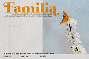 Bintro, a Serif Font by Propertype (Thumbnail 3 of 10)