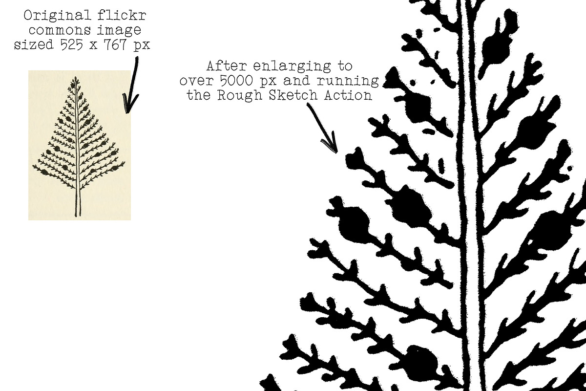 Rough Sketch Photoshop Action, an Action Add-On by Heather Green Designs (Photo 5 of 10)