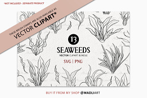 Seaweed Procreate Brush Stamps