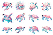 Coastal Sea Turtle Clipart, an Illustration by Dream Creation (Thumbnail 3 of 6)