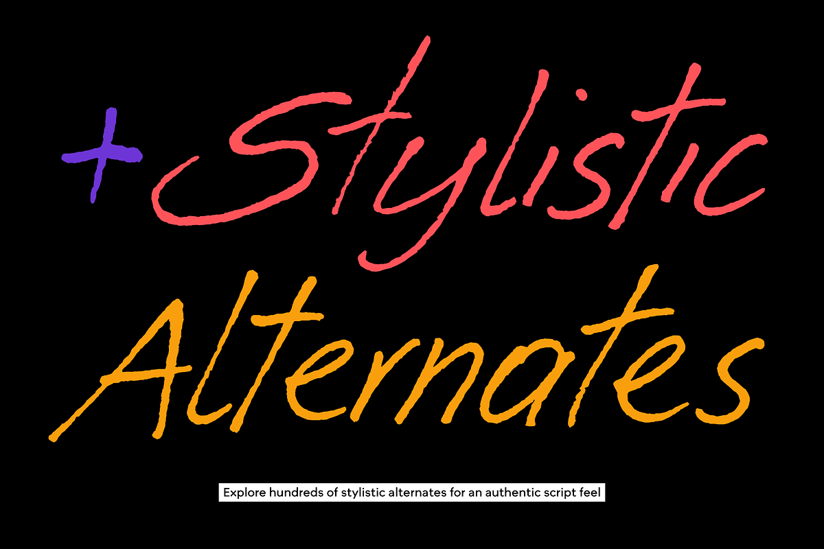 Ammer Handwriting, a Handwritten Font by Schriftlabor (Photo 4 of 14)