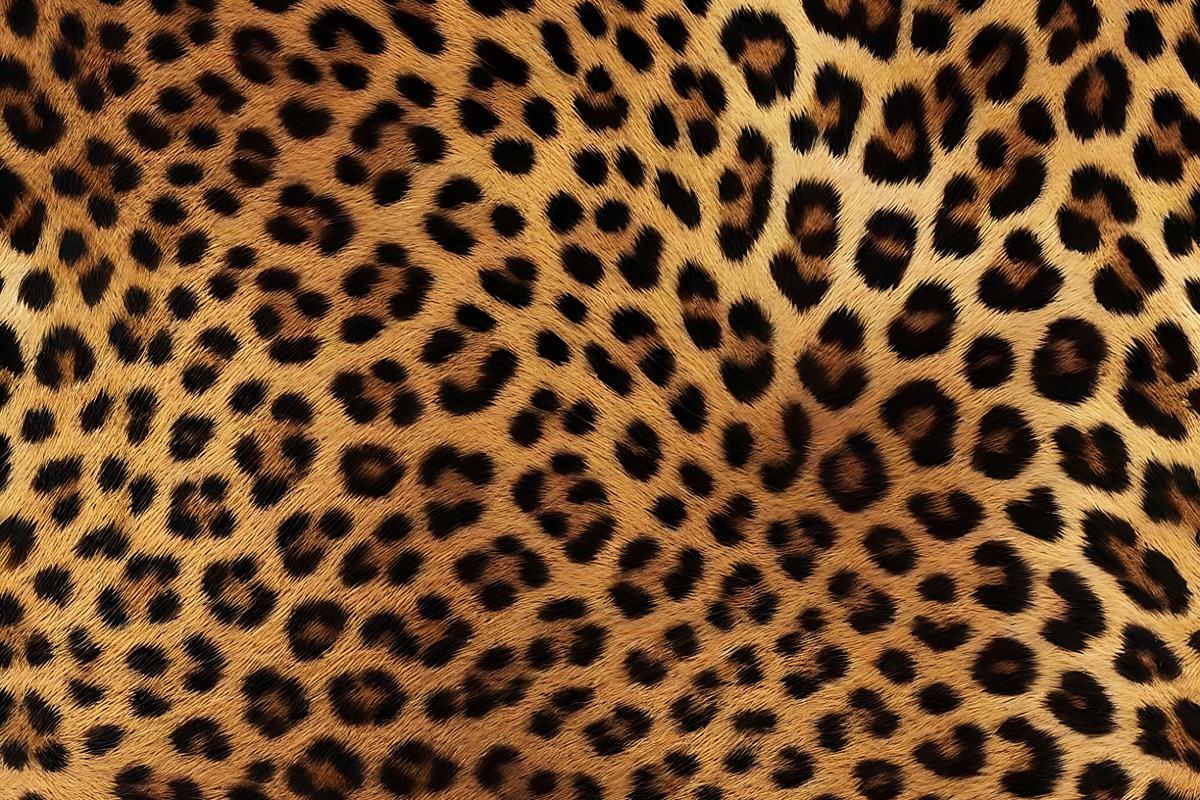 Safari Animals Skin Print Texture, a Graphic by UniqueMe (Photo 14 of 21)