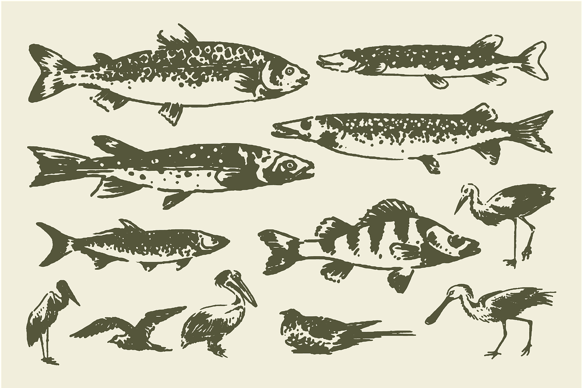 Fishing & Hunting Bundle by Shaka, an Illustration by SHAKA (Photo 4 of 4)