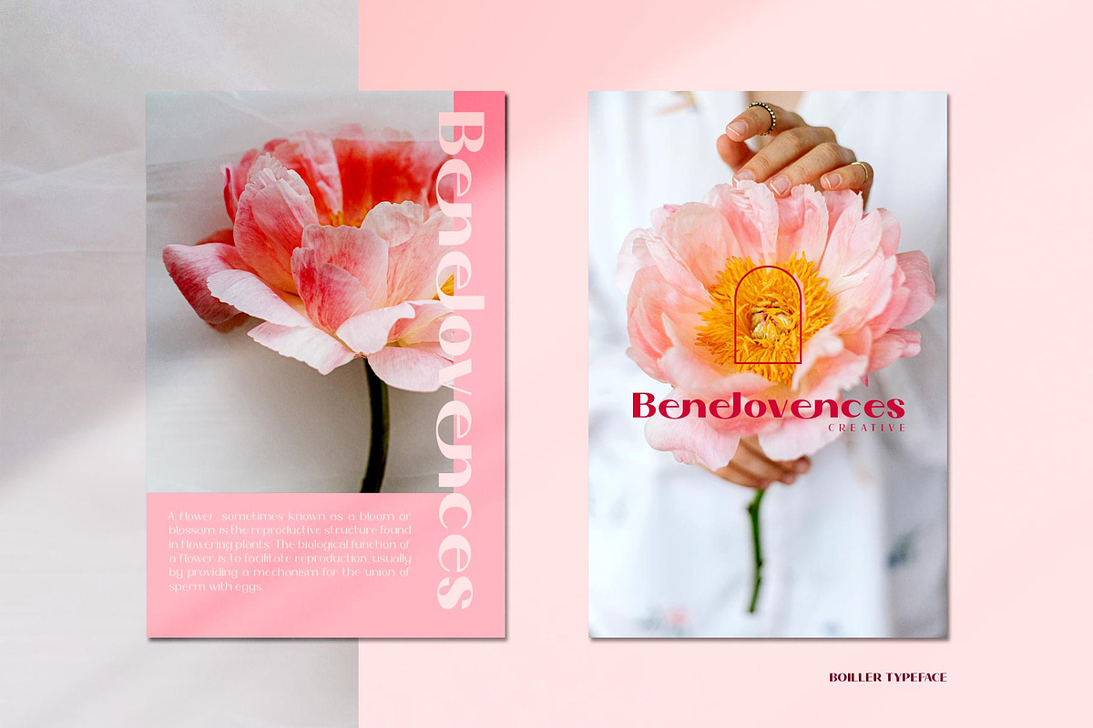 Boiller Typeface, a Sans Serif Font by alit design (Photo 8 of 18)
