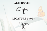 Beauty Butterfly | Script Font, a Handwritten Font by Scratchones (Thumbnail 8 of 9)