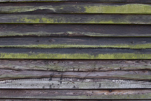 Old weathered wooden wall (Portrait)