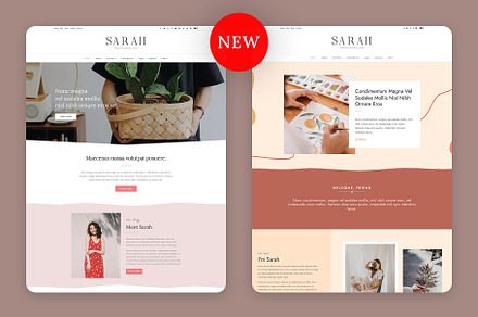 A Blog & Shop WordPress Theme