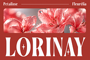 Vorseta – Luxury Condensed Serif, a Serif Font by Say Studio (Thumbnail 4 of 10)