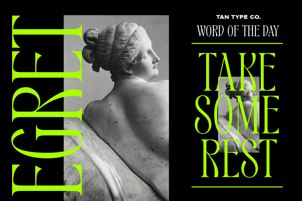 TAN - EGRET, a Serif Font by TanType (Photo 17 of 19)