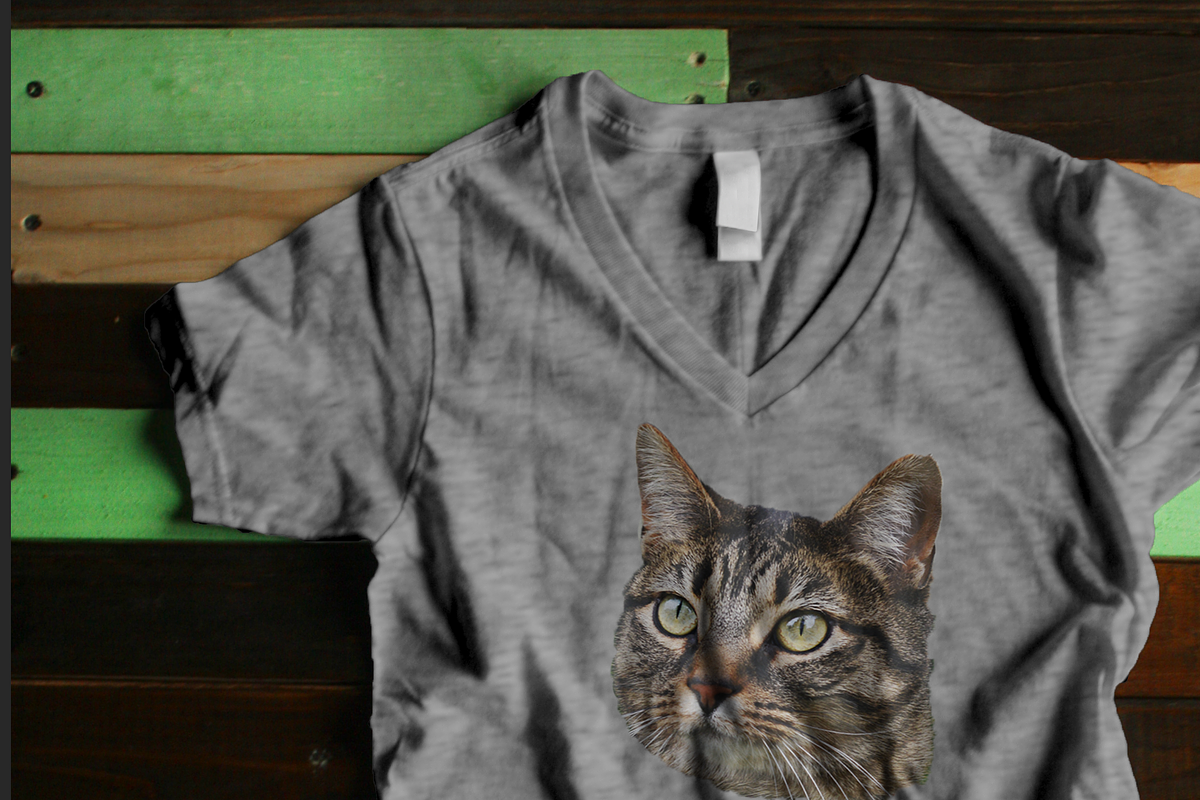 Women's V-Neck Photoshop Mockup, a Shirt Mockup by SLTFNDRY (Photo 3 of 4)
