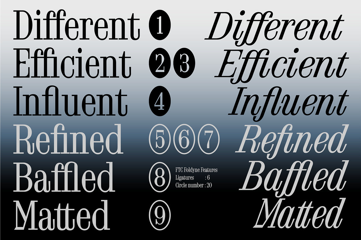 FTC Foldyne, a Serif Font by Fridaytype (Photo 7 of 12)