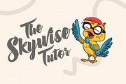 Parrot Character Vector Pack, an Animal Illustration by rix_designs (Thumbnail 2 of 4)