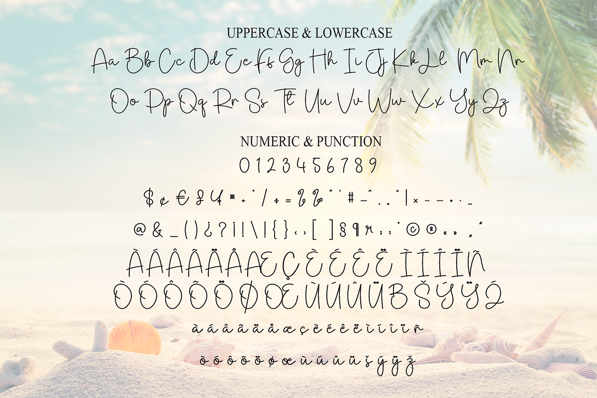 Picture Beach | Script Font, a Handwritten Font by Scratchones (Photo 7 of 8)