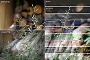 Rustic Images + FilterGrade Bonus, a Graphic by Callie Rian & Co. (Thumbnail 4 of 5)