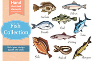 Fish Collection and patterns, an Object Graphic by Tatti Graphic Studio (Thumbnail 1 of 3)