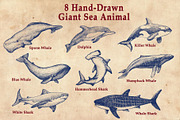 Giant Sea Animal Hand Drawn Elements, an Animal Illustration by Artolabs (Thumbnail 2 of 5)