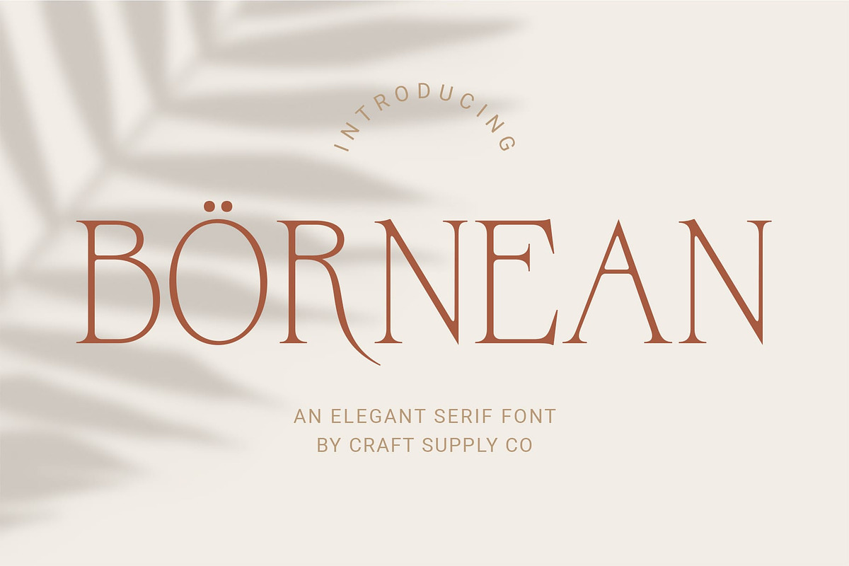 Bornean – Elegant Serif, a Serif Font by Craft Supply Co. (Photo 1 of 8)