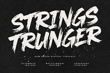 Strings Trunger Raw Brush Typeface