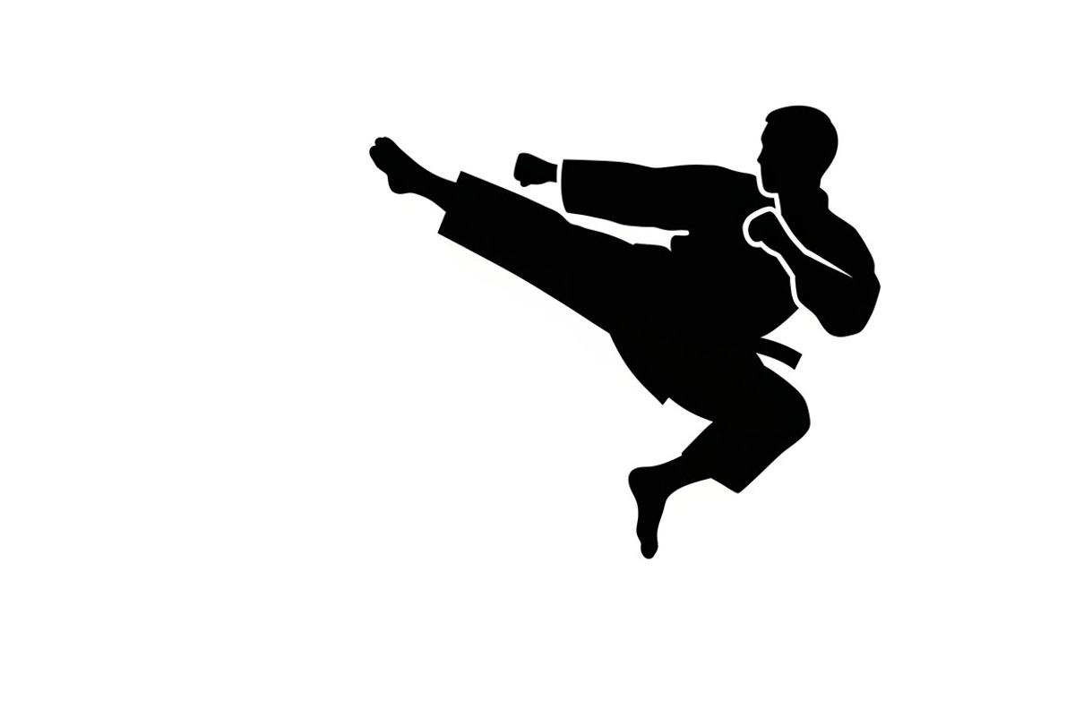 Dynamic martial arts kick silhouette, a Graphic by Amazin_art (Photo 35 of 36)