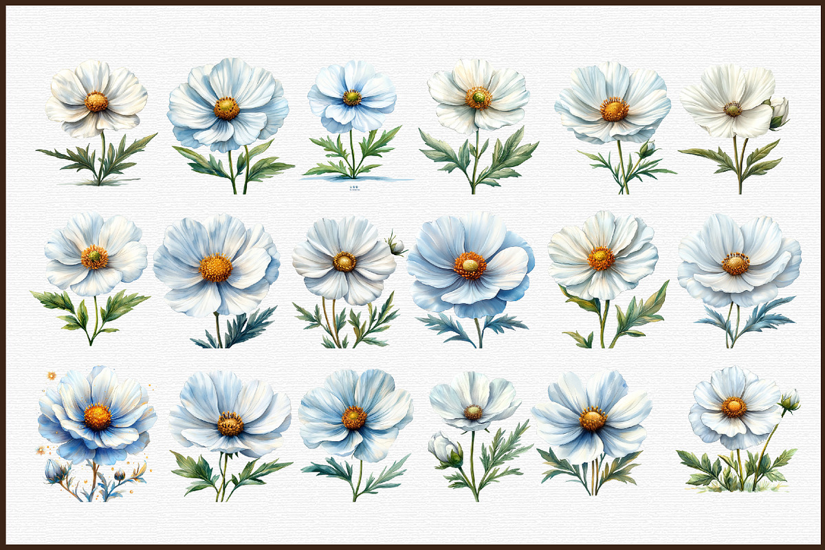 Wedding White Cosmos Flower Clipart, an Illustration by Sublimation Artist (Photo 3 of 6)