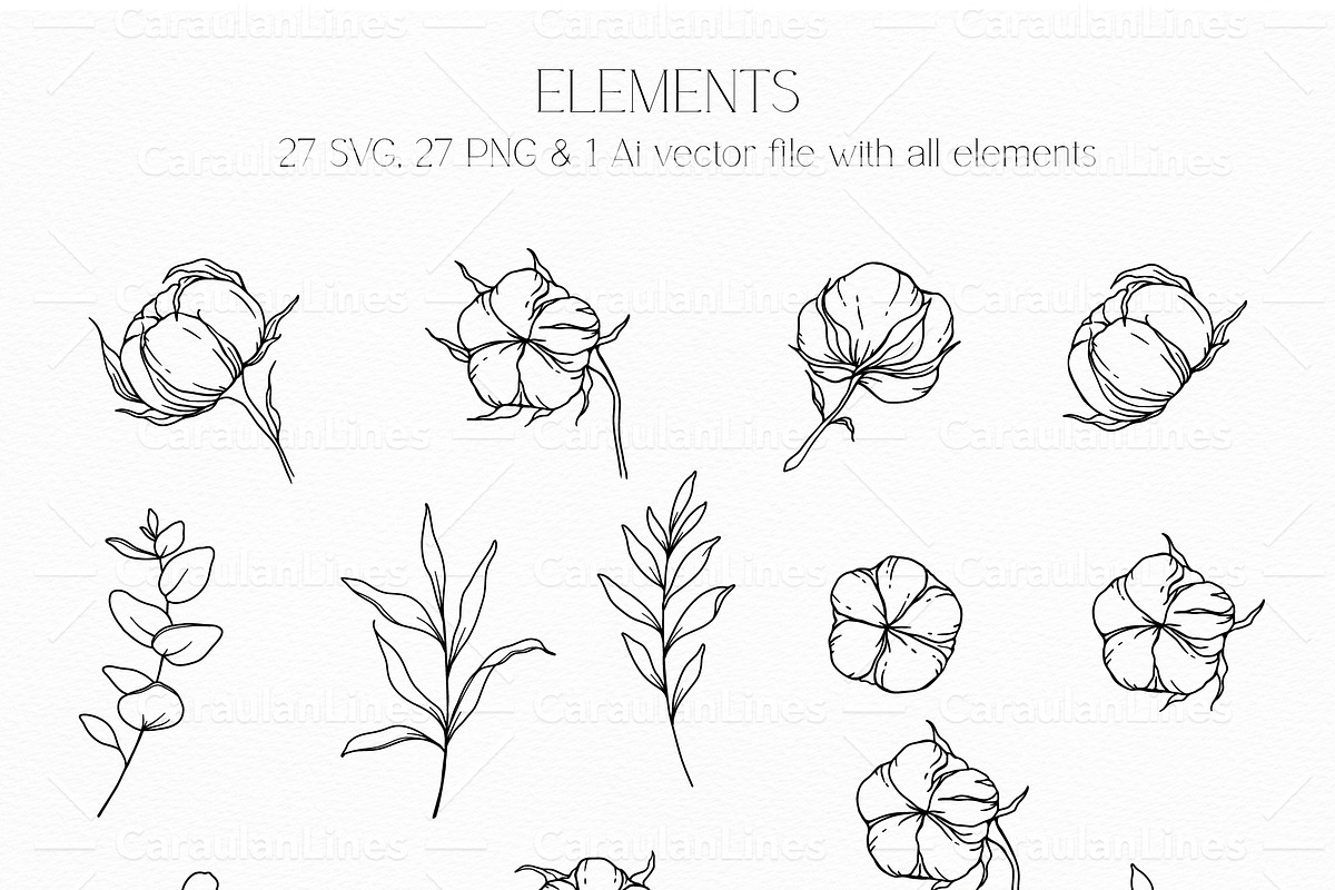 Cotton Line Art, an Object Graphic by CaraulanStore (Photo 4 of 6)