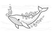 Whale Line Art Vector Bundle, an Illustration by yasushie (Thumbnail 29 of 51)