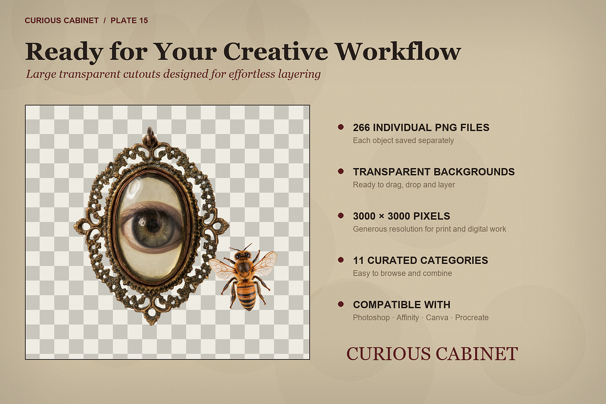 Curious Cabinet Collage Kit, an Object Graphic by Le.nart (Photo 15 of 15)