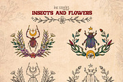 Insects and Flowers, an Animal Illustration by Ink Stories (Thumbnail 10 of 15)