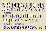 Historical Collective Font, a Serif Font by 177Studio (Thumbnail 7 of 8)