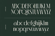 Chazero Modern Alternate Serif, a Serif Font by timelesstype.co (Thumbnail 11 of 20)
