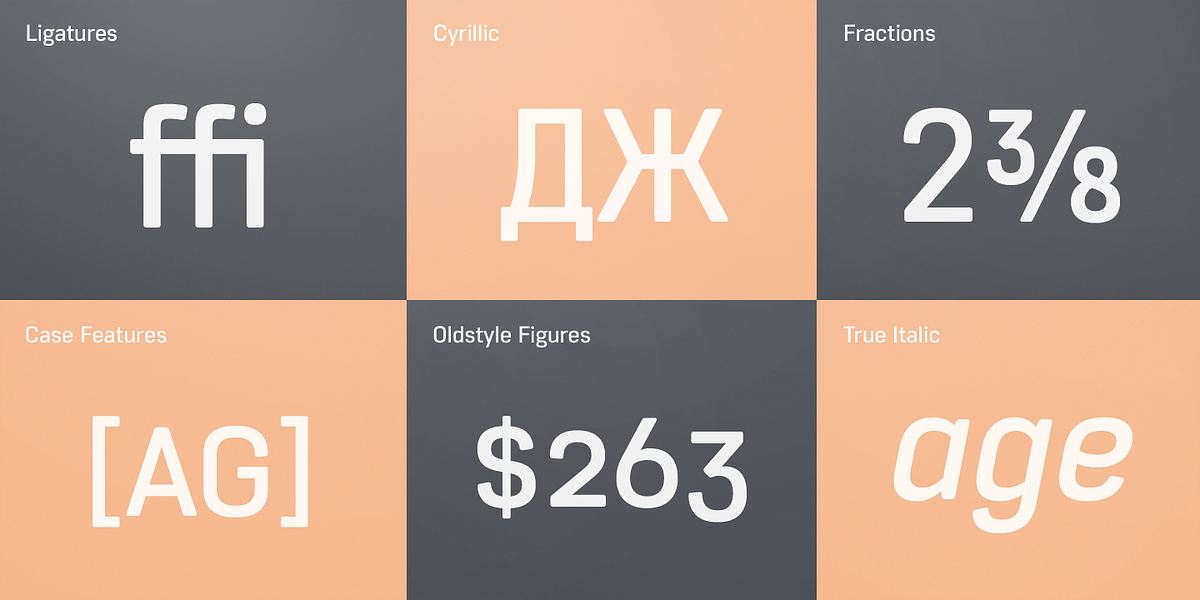 Core Sans R, a Sans Serif Font by S-Core (Photo 5 of 6)