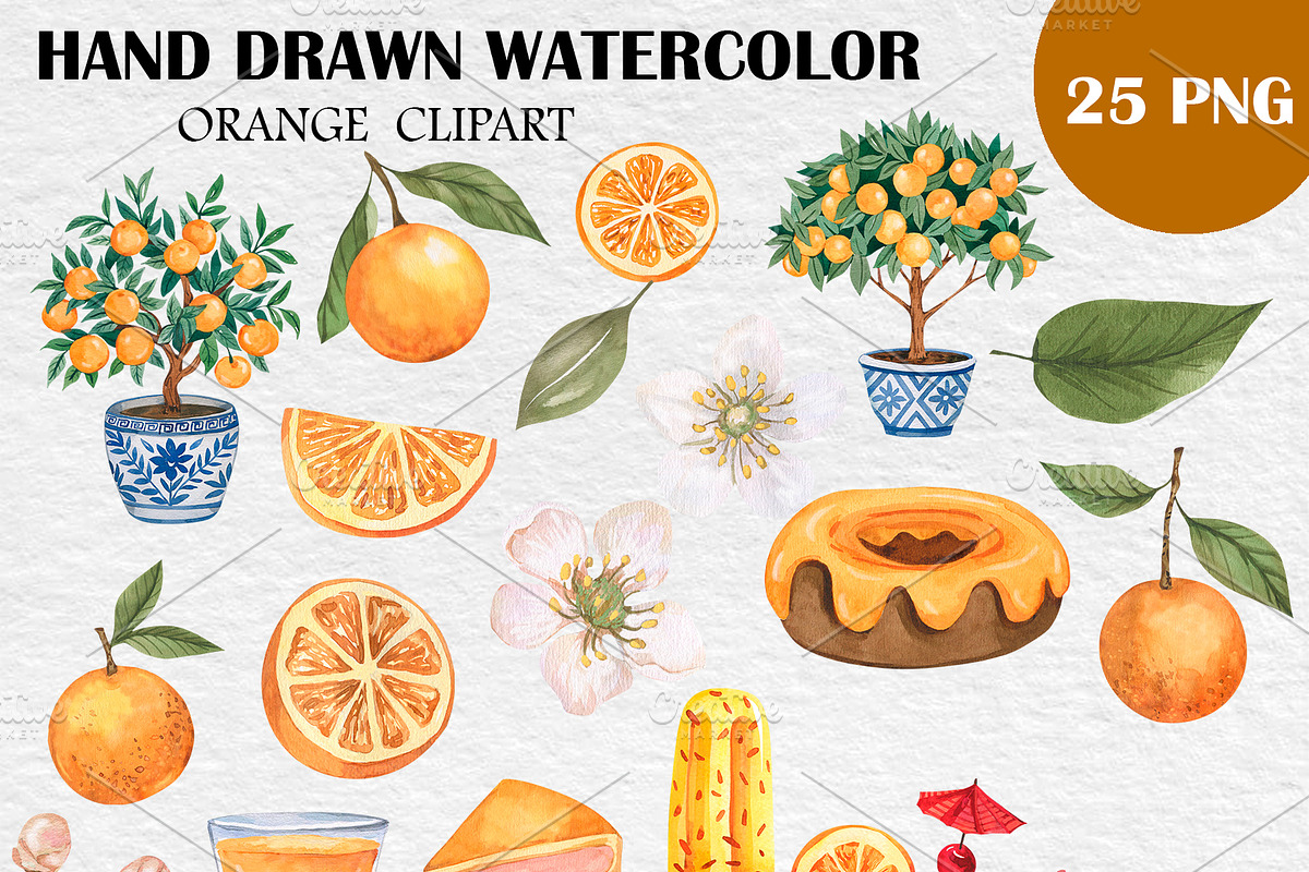 Watercolor Orange Clipart PNG, a Food Illustration by PatternPalette (Photo 2 of 4)