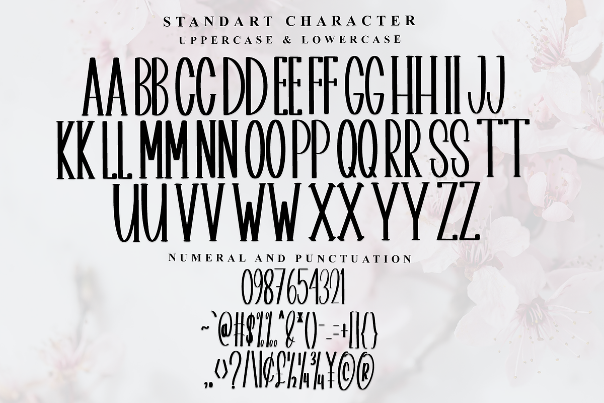 Antumn Blackboard, a Serif Font by InermediaSTUDIO (Photo 5 of 7)