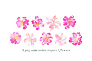 22 Tropical Watercolor Illustrations, an Illustration by Heartmade by Claudia (Thumbnail 3 of 4)
