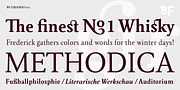 BF Girando Pro, a Serif Font by BrassFonts (Thumbnail 5 of 6)