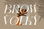 BROW VOLKY Stylish Serif Font, a Serif Font by Storytype Studio (Thumbnail 2 of 10)