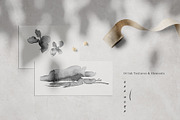 Ikebana Flower Illustrations, a Texture Illustration by Greta Ivy (Thumbnail 6 of 7)