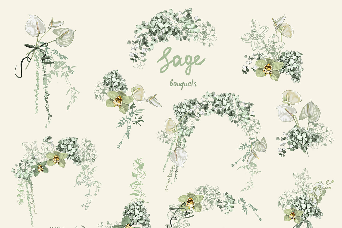 Sage Floral Illustrations, an Object Graphic by whiteheartdesign (Photo 2 of 14)