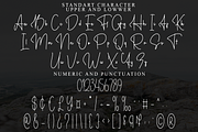 Brilliant, a Handwritten Font by FreshTypeINK (Thumbnail 4 of 8)