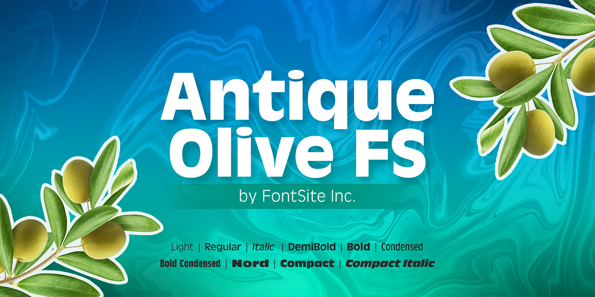 Antique Olive FS, a Sans Serif Font by FontSite Inc. (Photo 1 of 2)