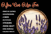 Summer Empty Sign & Wildflowers, an Illustration by CreationArt (Thumbnail 3 of 9)