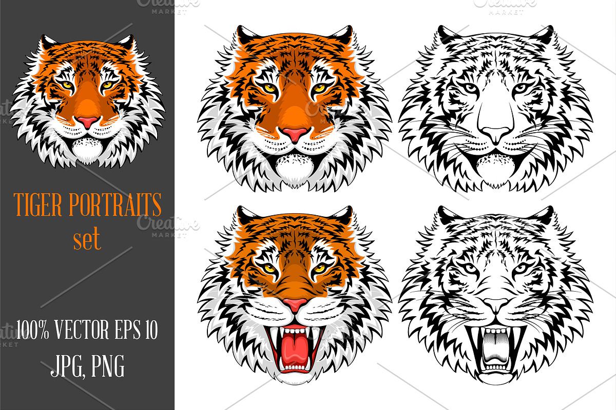 Tiger portraits set, an Animal Illustration by Vector beauty (Photo 1 of 3)