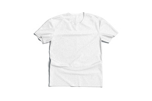 Flat Lay T-shirt Wrinkled 3D Model